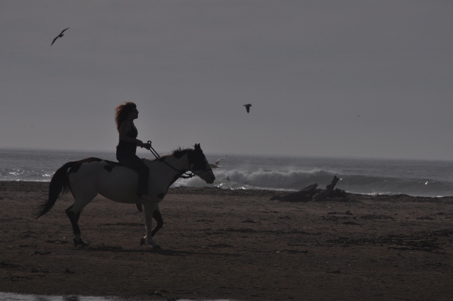 Morro Bay beach